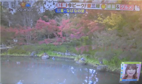 日本の全国的に有名な紅葉・イルミネーションで有名な【なばなの里】の紅葉（鏡池など）